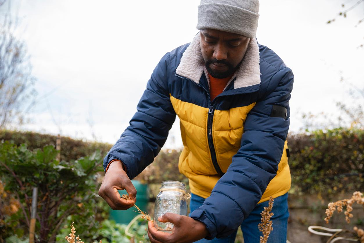 Person collecting seeds from garden