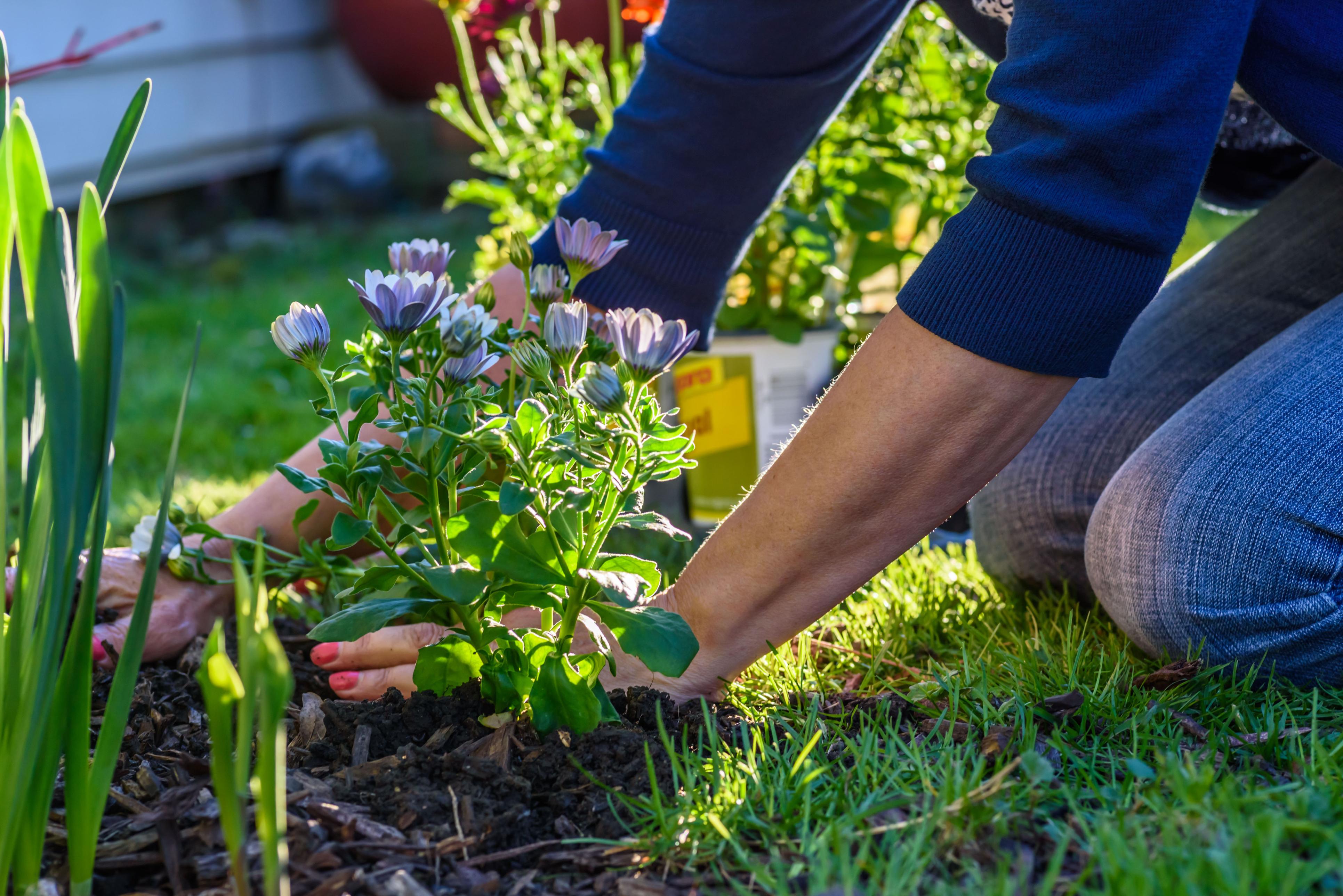 gardeningbanmichigan