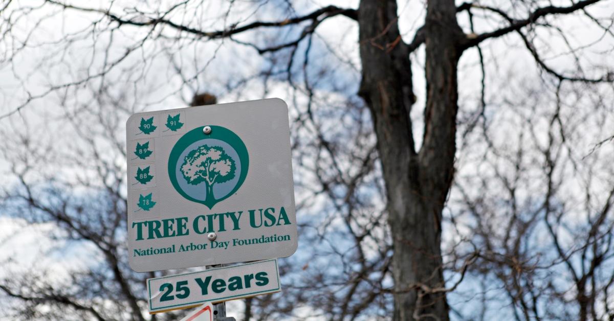 A photo of a sign that says "Tree City USA" in front of a tree. 