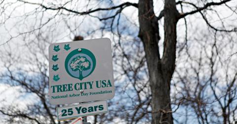 A photo of a sign that says "Tree City USA" in front of a tree.