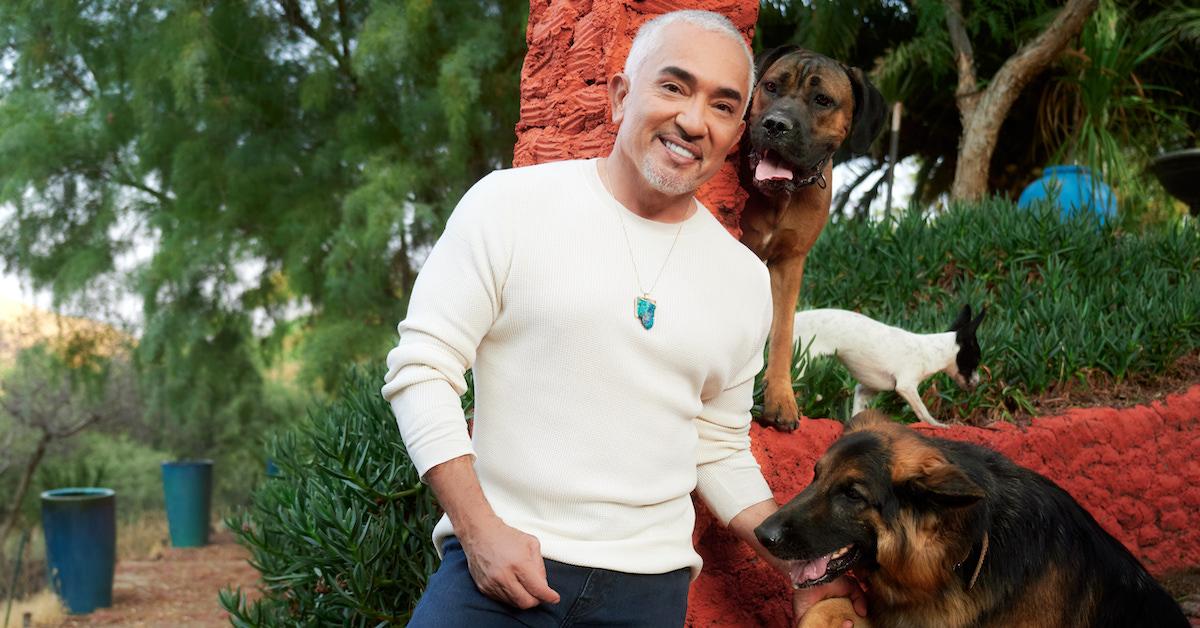 Cesar Millan