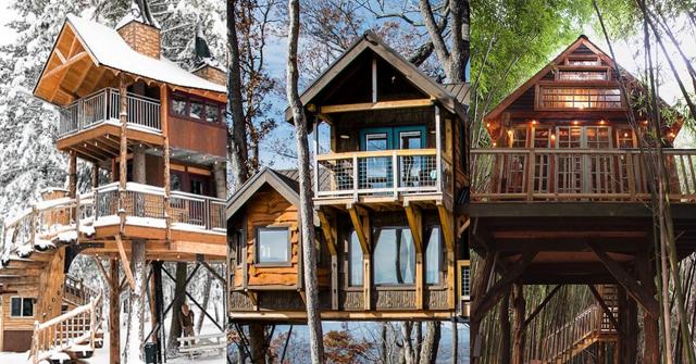 These Are The Best And Most Unique Airbnb Treehouses In The U.S.