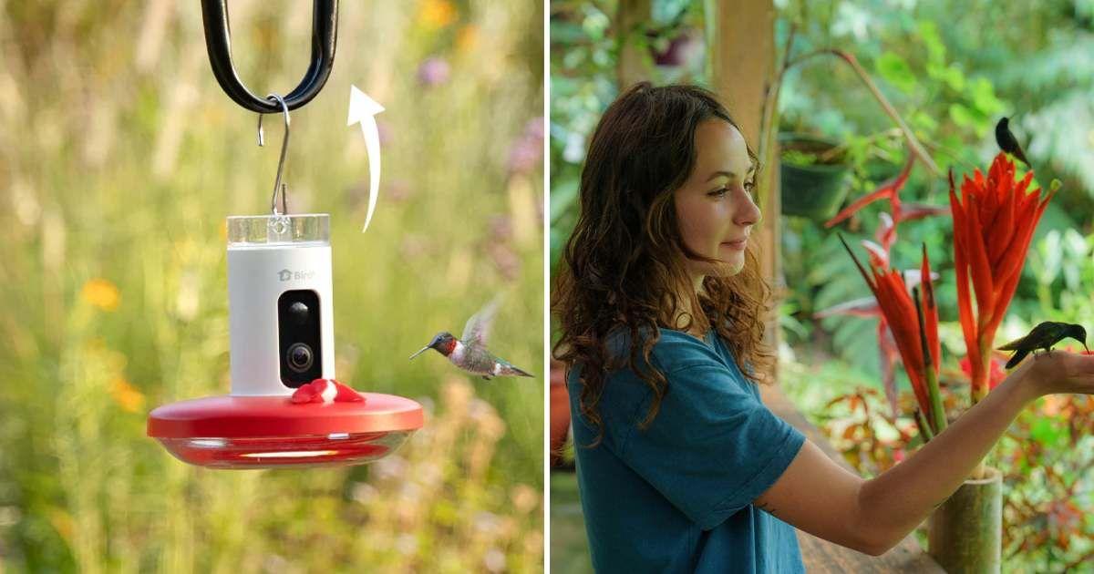 (L) Birdfy Hum Feeder with camera (Cover Image Source: Birdfy) | (R) Woman embraces a hummingbird (Representative Image Source: Getty Images | Oleh)