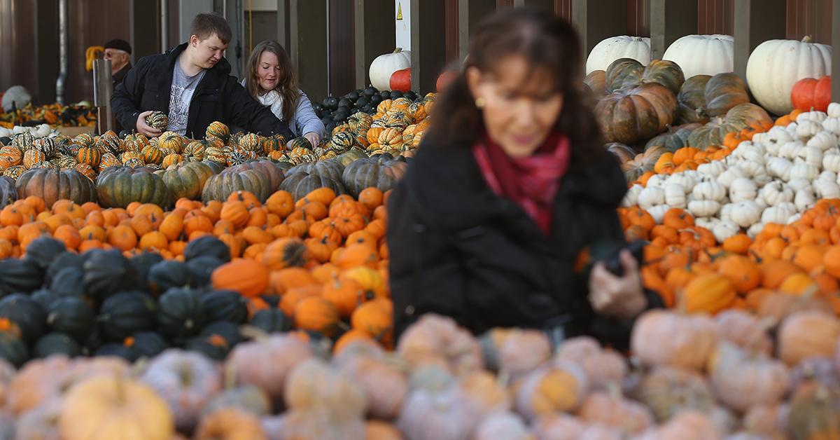 buy natural pumpkins