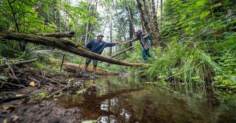 Redwood Forest Returned to Tribes