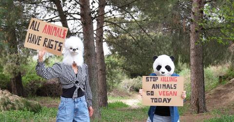 Animal rights activists