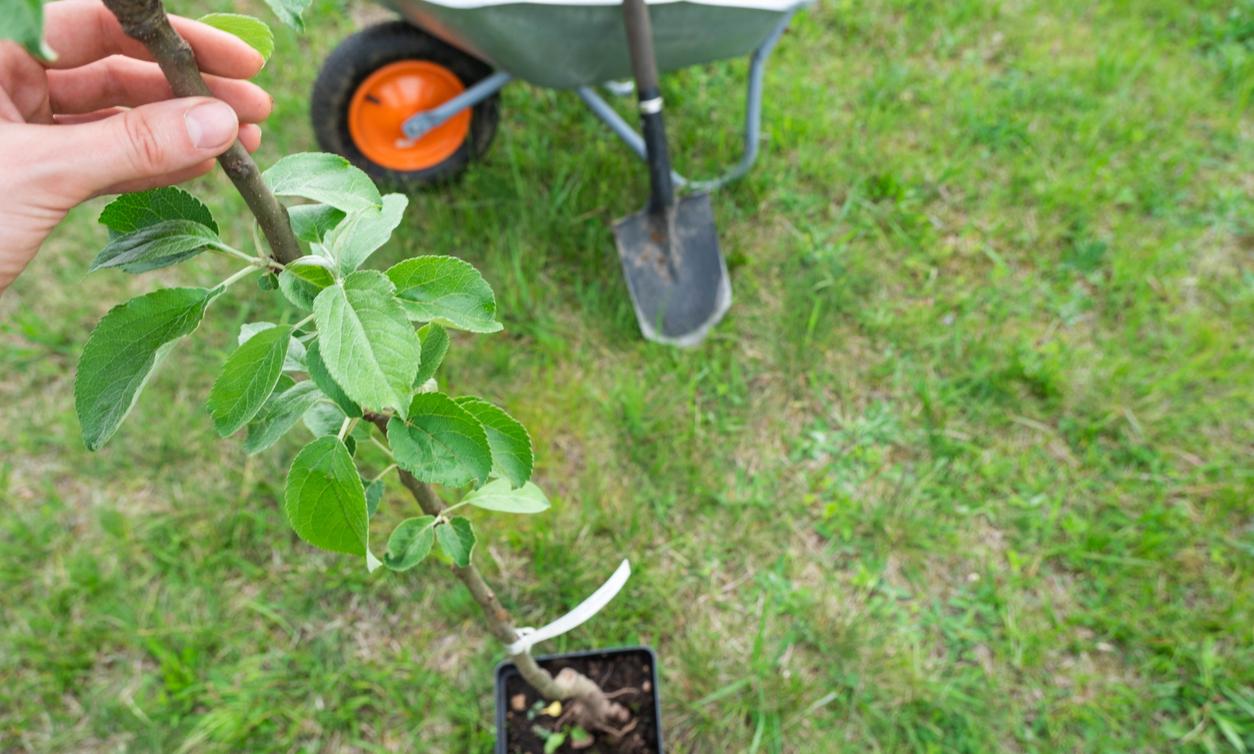 8 Of The Best Earth Day Freebies 2024 8 of the best earth day freebies 2024