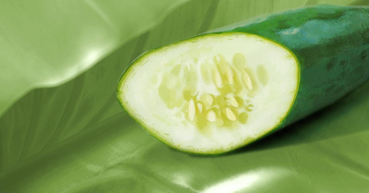 Natural Bee Repellents to Keep Bees at Bay