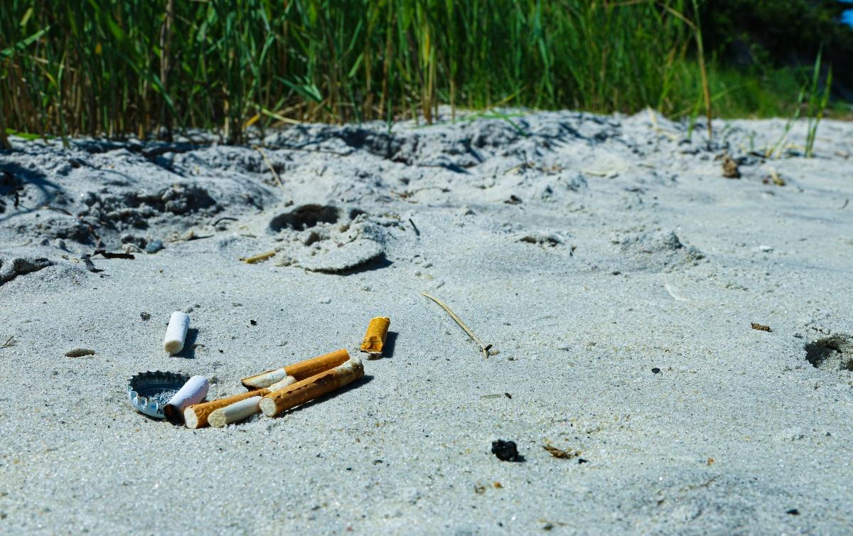 Cigarette Filters Are Toxic to Mosquito Larvae and More