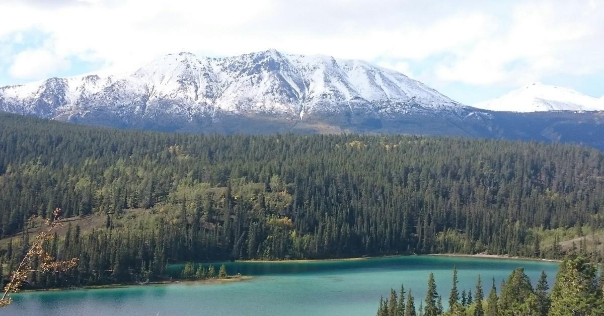 A view of the mountain and dense tree lines located in the Yukon