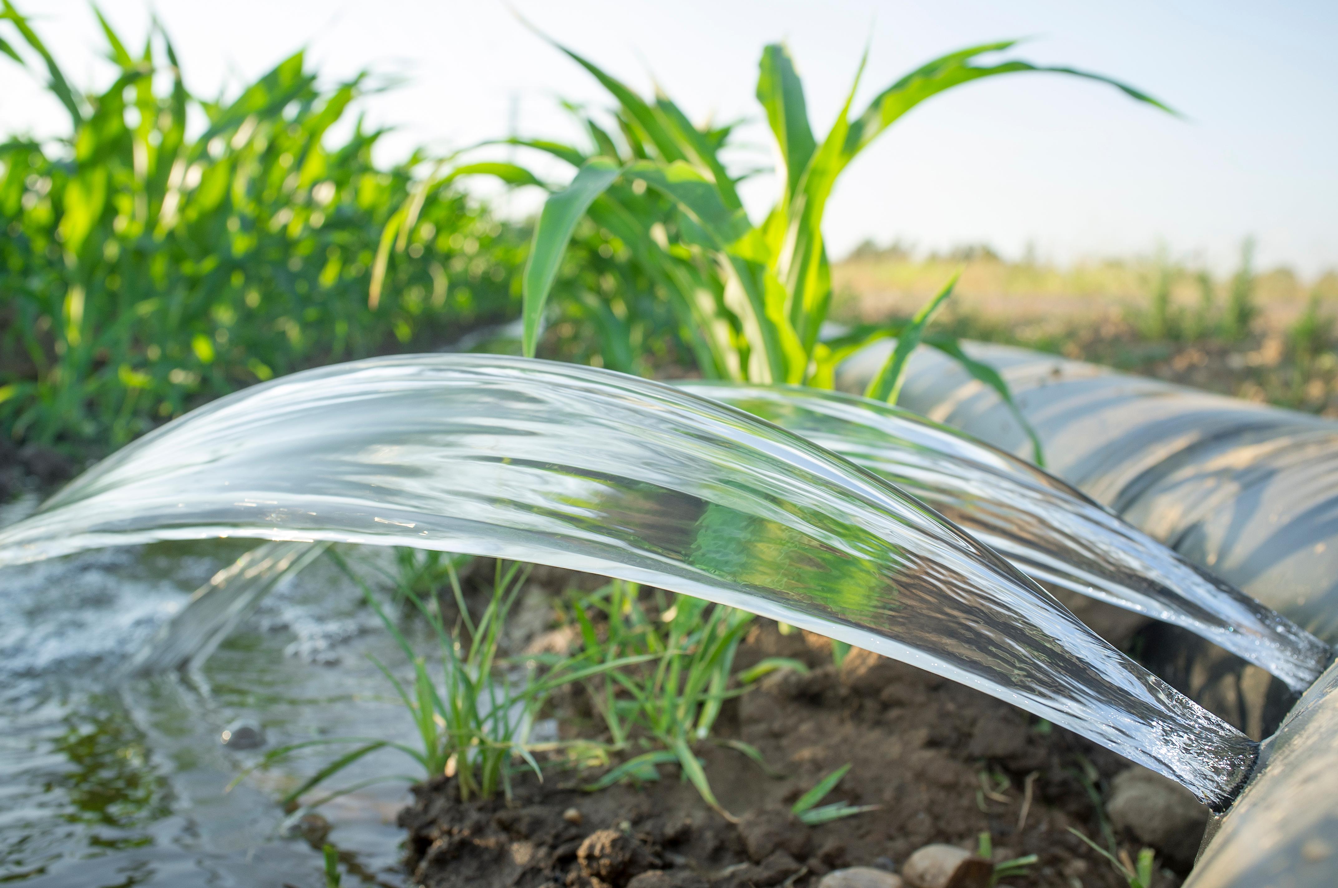 Furrow Irrigation Can Help Save Water, But What Is It, 49% OFF