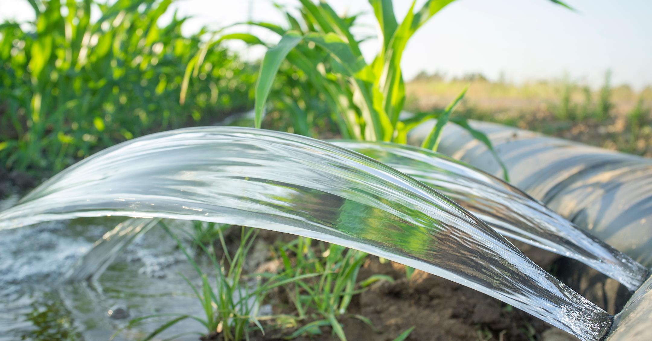 furrow-irrigation-can-help-save-water-but-what-is-it-exactly