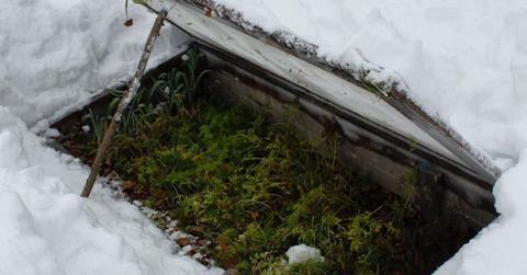 cold frame gardening