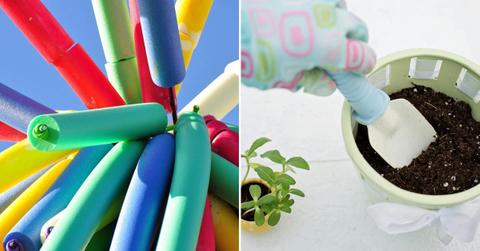 (L) A bunch of colorful pool noodles strung together. (R) A person preparing a pot for planting. (Representative Cover Image Source: (L) Pixabay | Gominola_79, (R) Pexels | Jill Wellington)