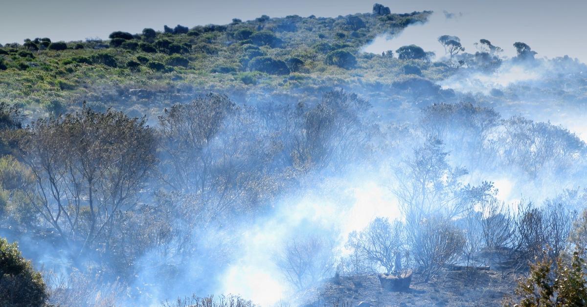 Smoke during a forest fire in South Africa.