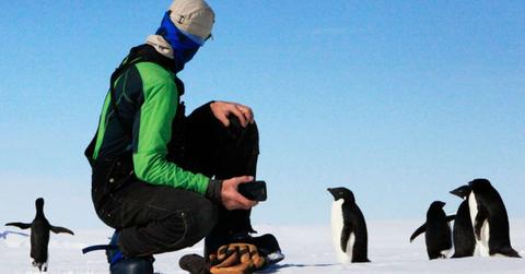 A person filming penguins on their phone in Antarctica. (Representative Cover Image Source: Unsplash | Suzan Kiršić )