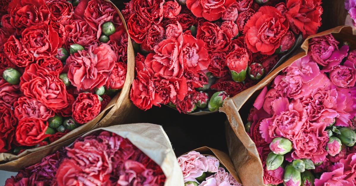 Bouquets of carnations in different colors