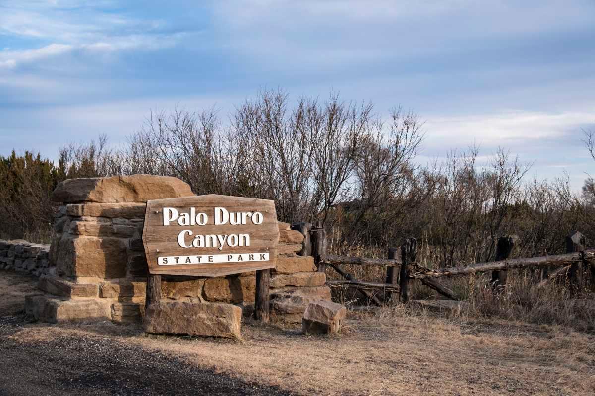 pn/ceaff f fe b eabd