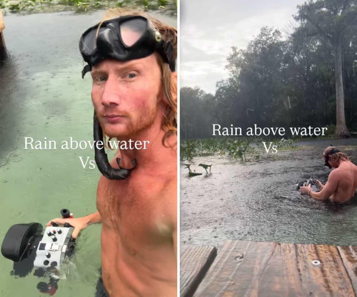 pn/ecab bac  e aaeeb