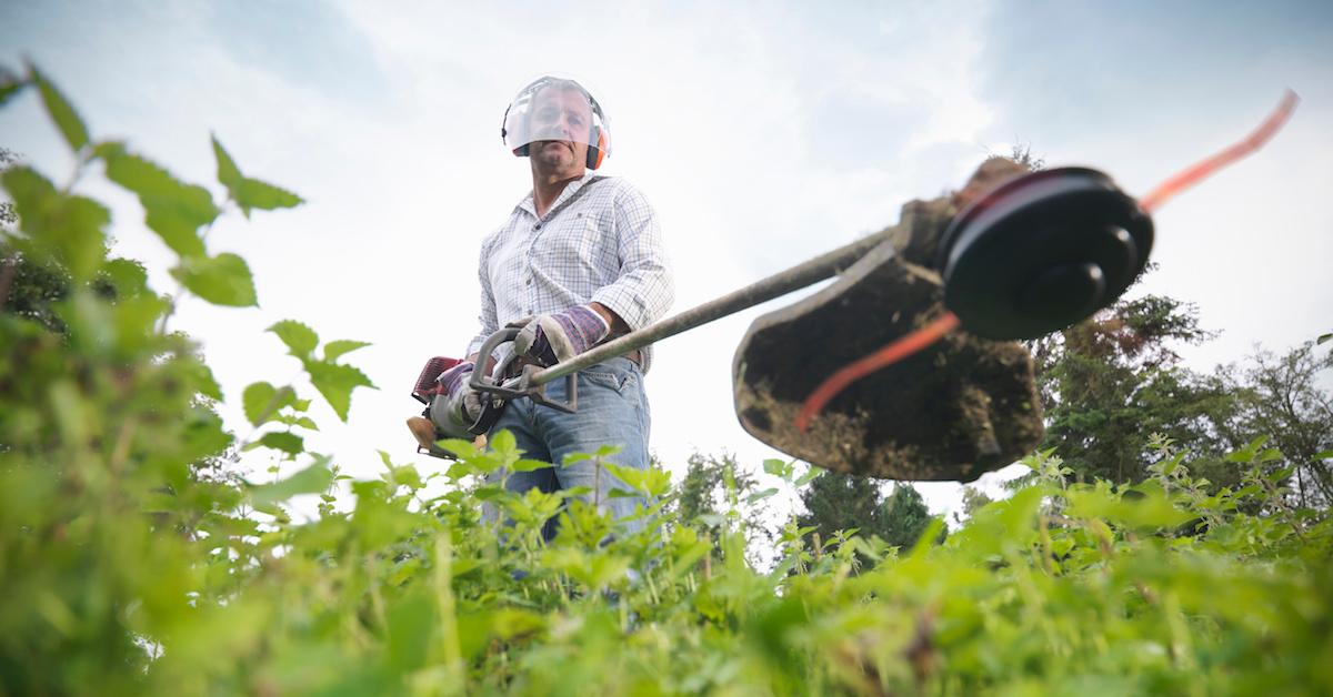 how to get rid of weeds naturally