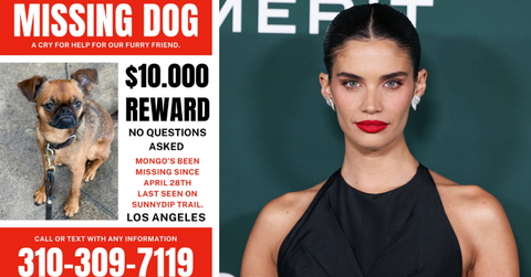 Sara Sampaio posts a reward flyer for her missing dog