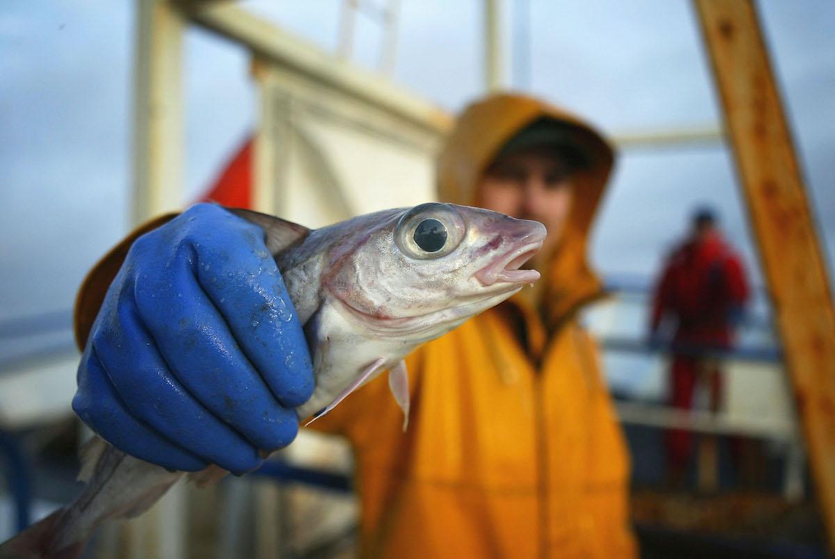 gleaning fishing