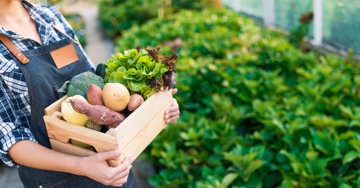 Fresh Produce Sourced From Local Farmers