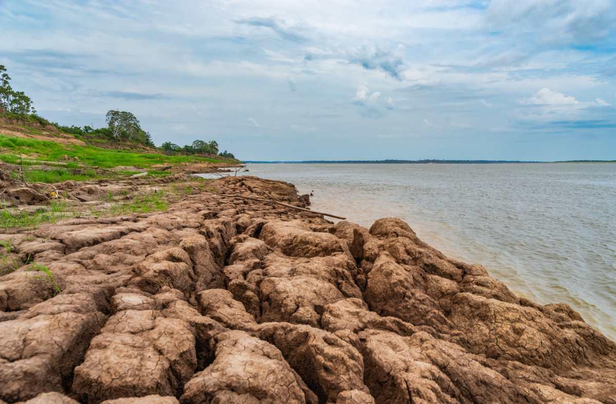 pn/fbcdf d e bc aaebff