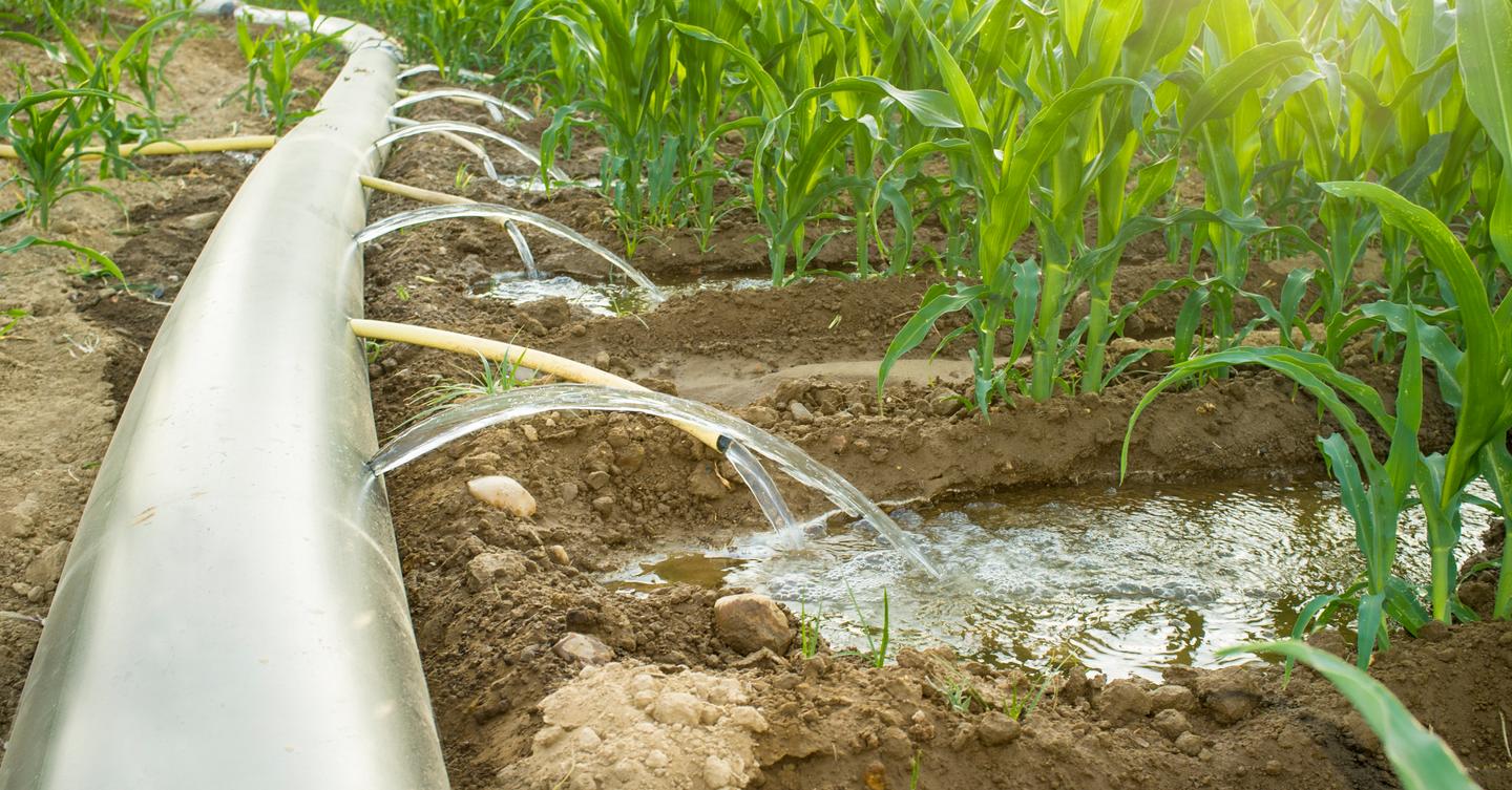 What Is The Different Means Of Irrigation