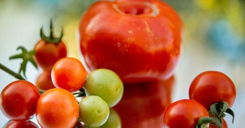 Why are heirloom tomatoes colorful?