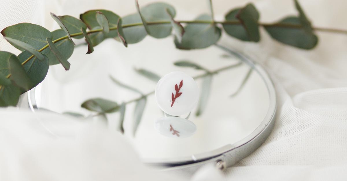 Stand of eucalyptus plant on a mirror