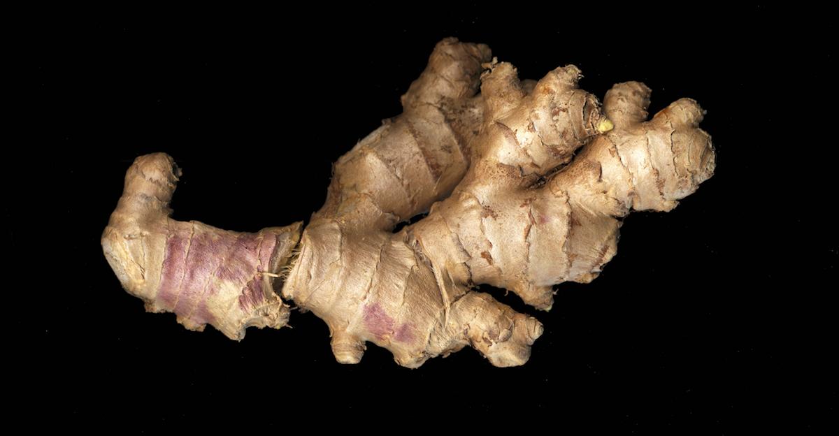 Whole ginger root