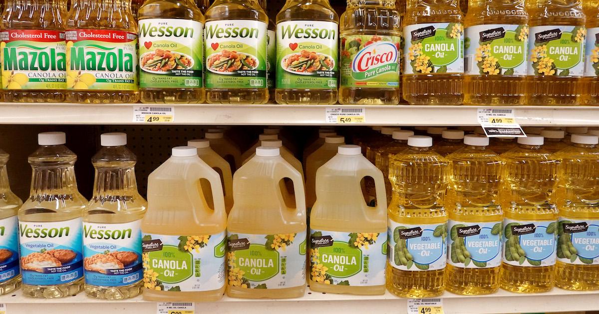 Is Cooking Oil Bad for the Environment? This Cultured Oil Aims to Disrupt