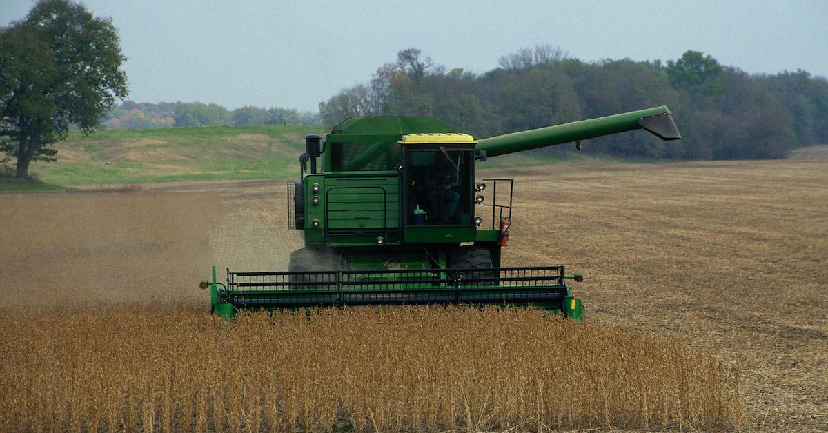 Soy Farming