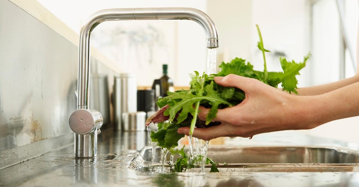 A woman's hands washing lettuce under the faucet. 