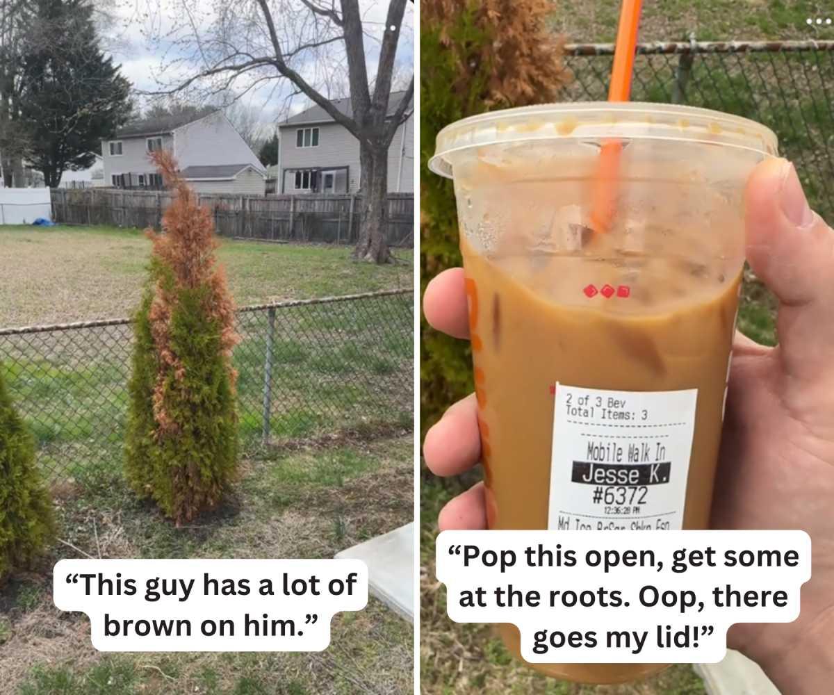 pn/bfee  b afb edbca