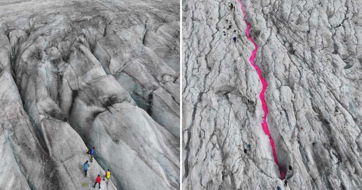 Scientists dribbling pink-colored meltwater in a crevasse in Rhone Glacier. (Cover Image Source: Instagram | @seangallup)