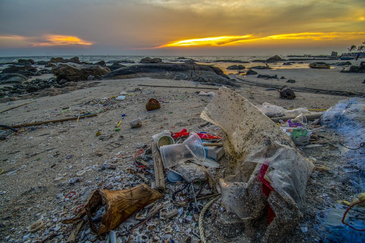 beach litter