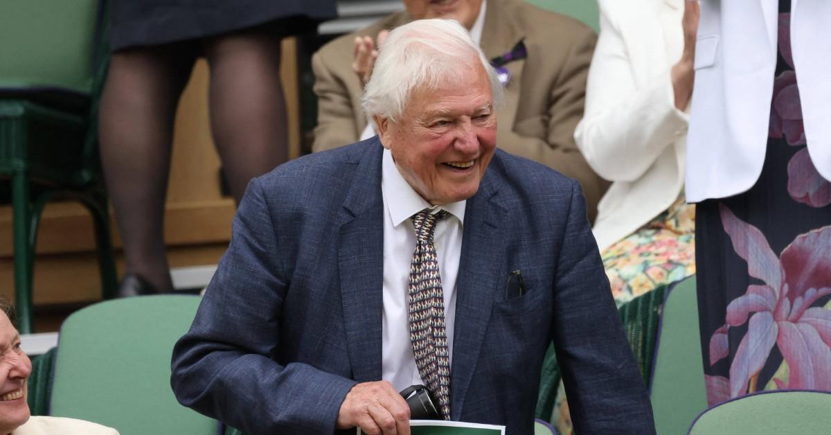 David Attenborough smiles while wearin ga dark suit