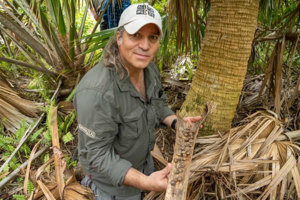 pn/dae ad a bef bffde