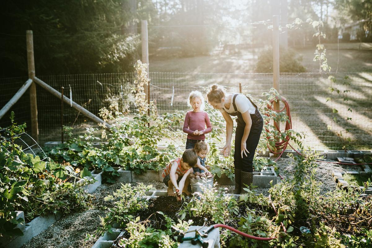 garden