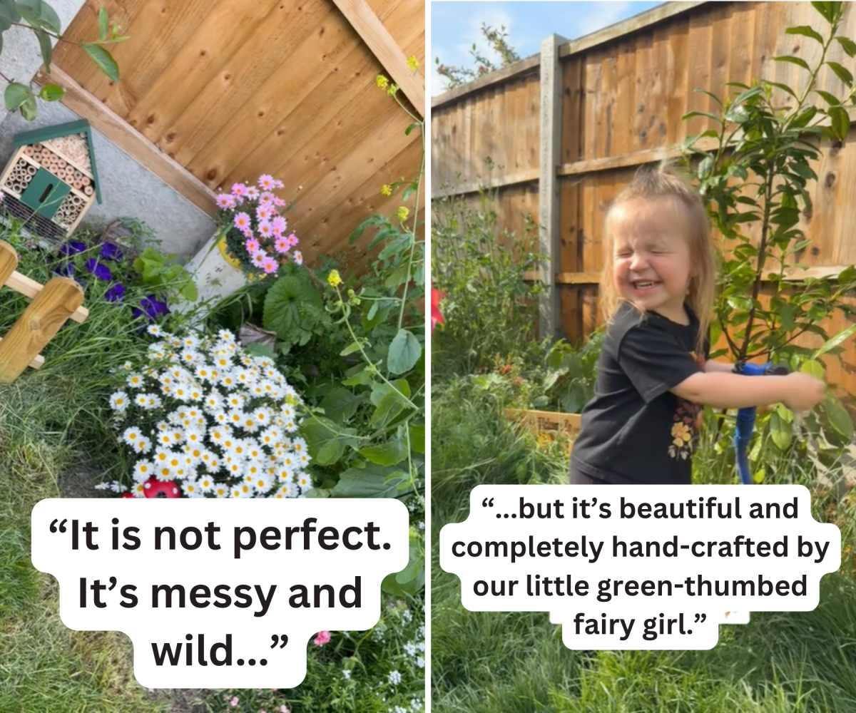 pn/add e ede aa eefedf