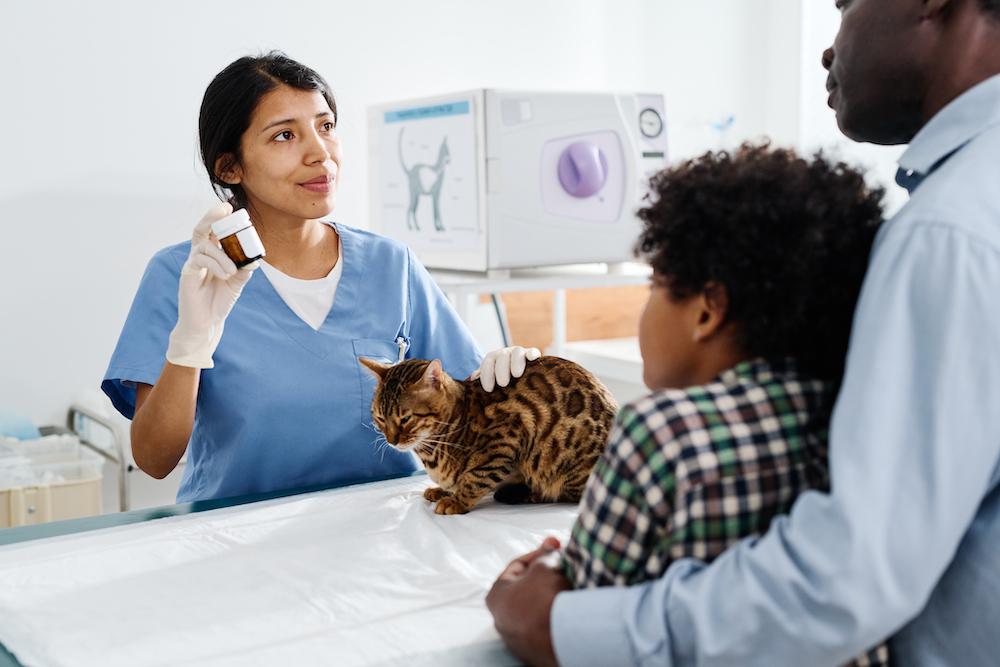 A Bengal cat and family at the vet.