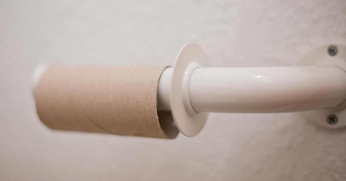 An empty toilet paper roll on a white toilet paper holder.