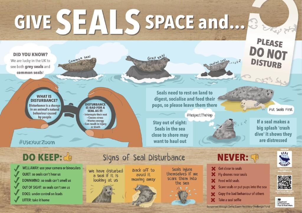 give seals space sign x