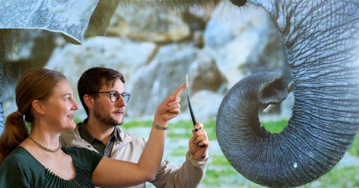 (L) Katherine Kuchenbecker (left) and Andrew Schulz, (R) A 3D-printed replica of an elephant's trunk hair (Cover Image Source: MPI-IS/W. Scheible)
