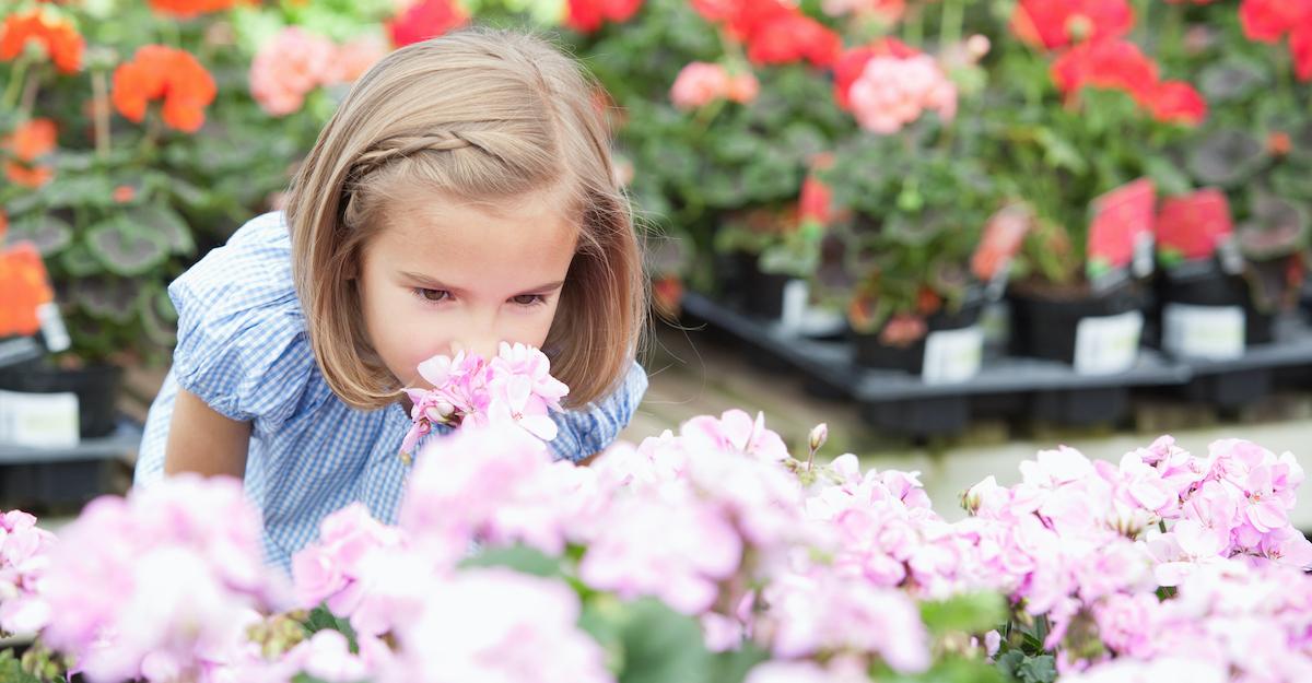 Little girl stopping to sniff flowers at a garden center. 