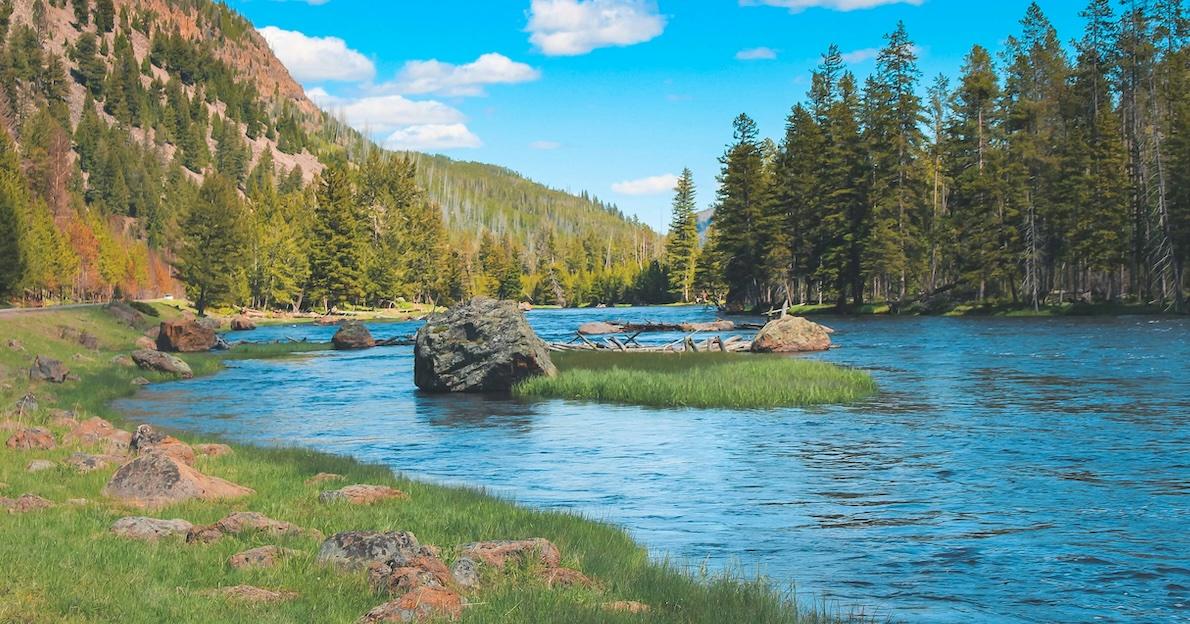 lake yellowstone