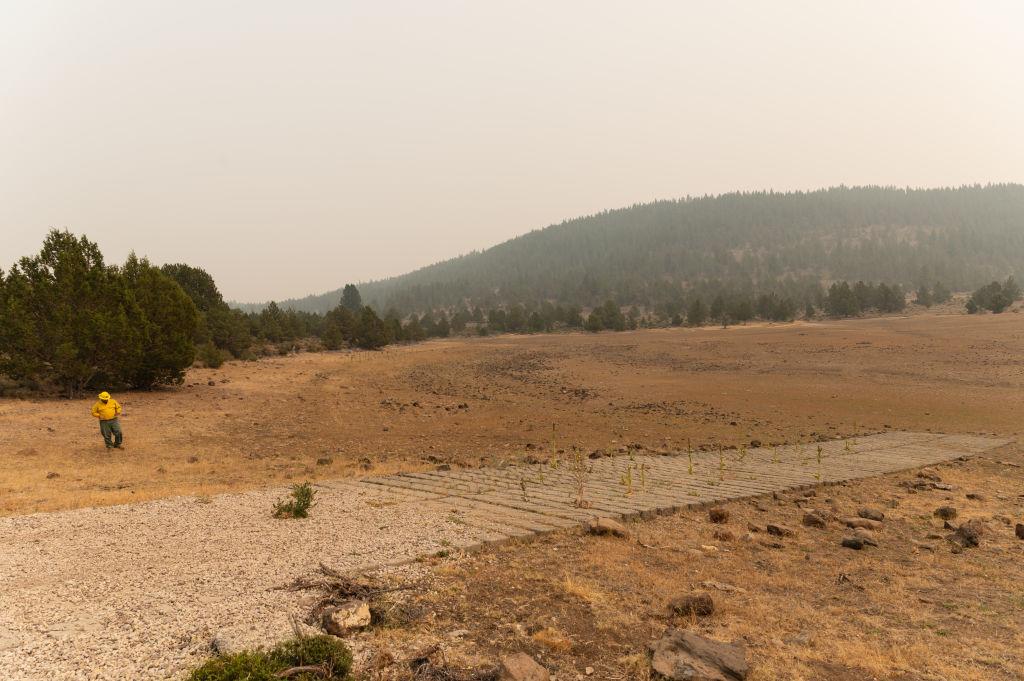 Field showcasing the affects of the drought and wildfires in Oregon