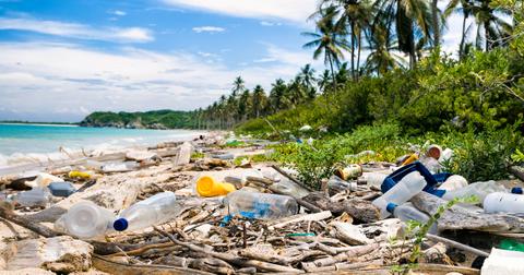 The Solution to Ocean Pollution Is by Addressing the Problem on Land